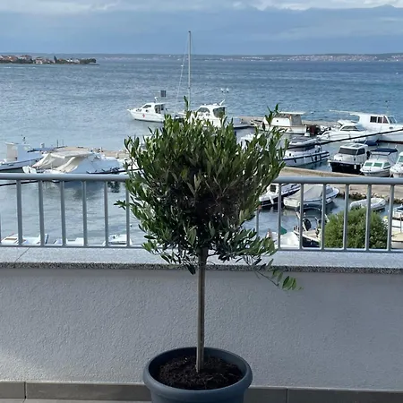 Olive Island Apartment