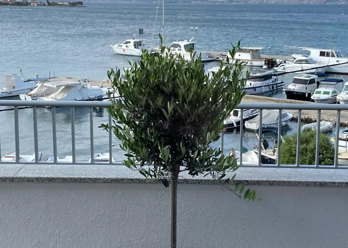 Olive Island Apartment