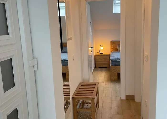 Olive Island Apartment Preko